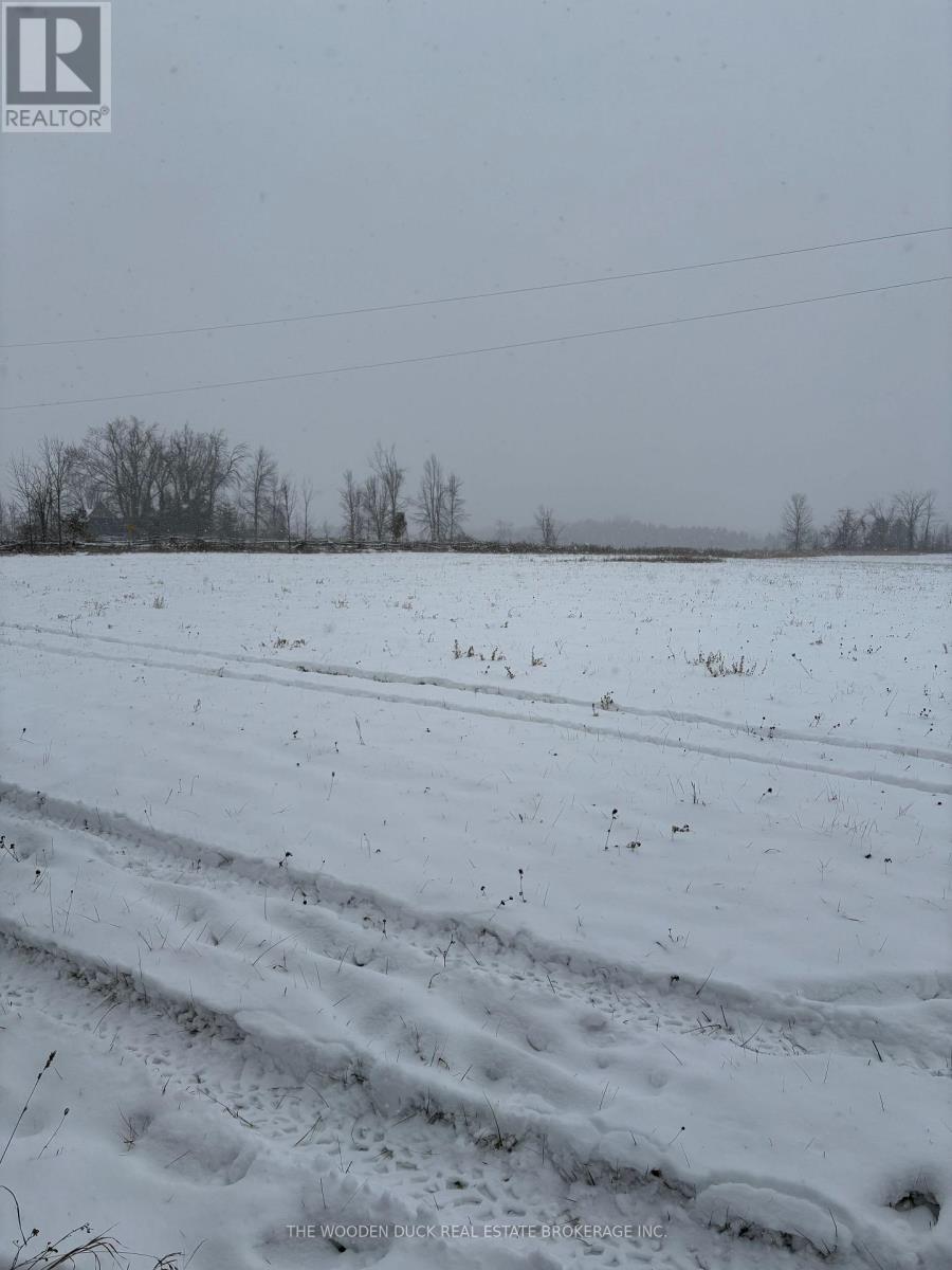 0 Cooney Island Road, Douro-Dummer, Ontario  K0L 2H0 - Photo 11 - X12610942
