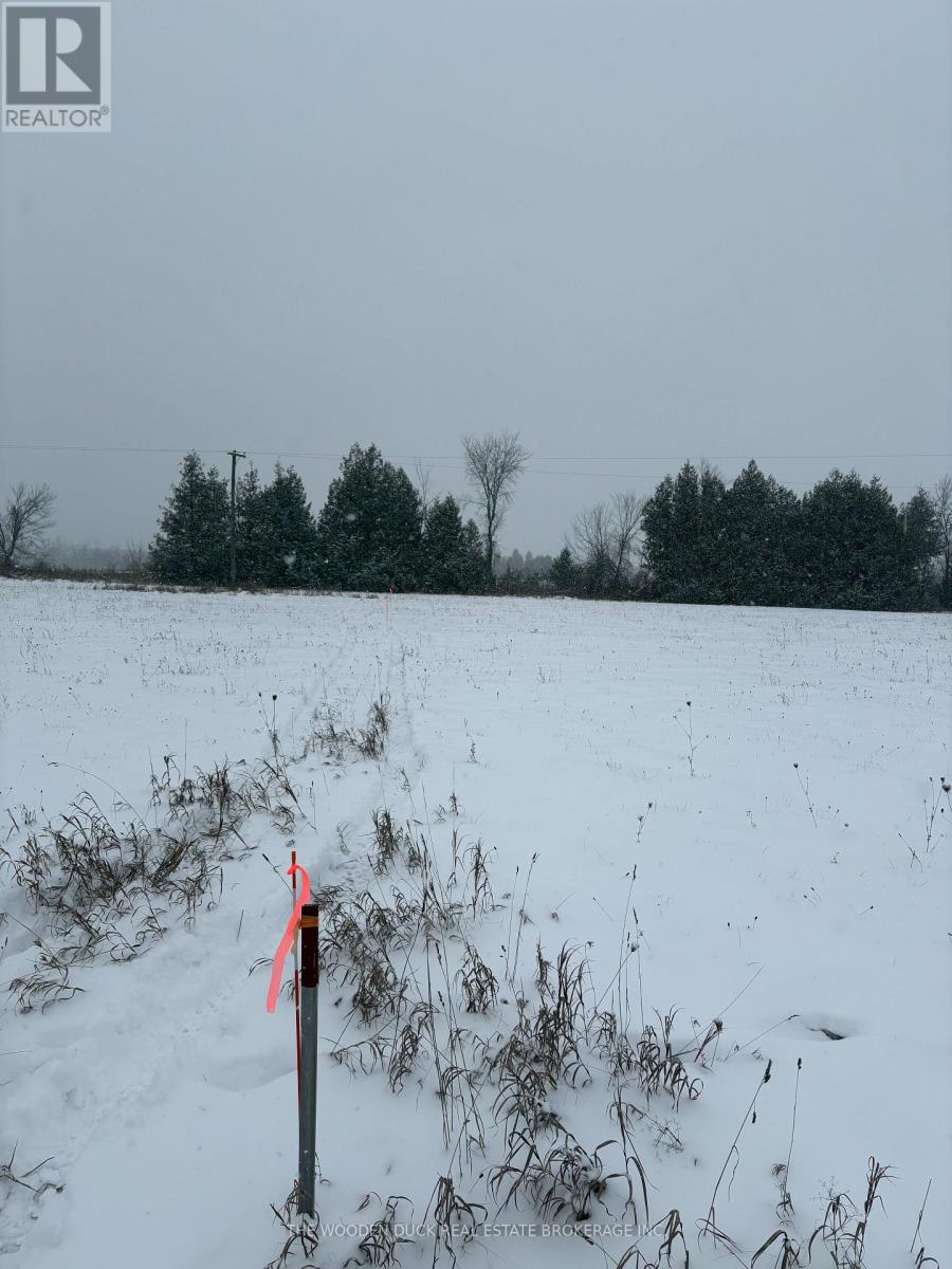 0 Cooney Island Road, Douro-Dummer, Ontario  K0L 2H0 - Photo 3 - X12610942