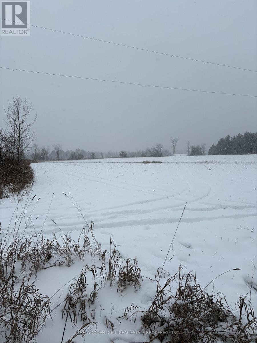 0 Cooney Island Road, Douro-Dummer, Ontario  K0L 2H0 - Photo 7 - X12610942