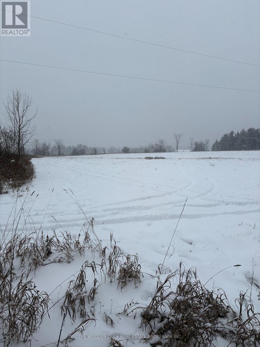 0 Cooney Island Road, Douro-Dummer, Ontario  K0L 2H0 - Photo 8 - X12610942