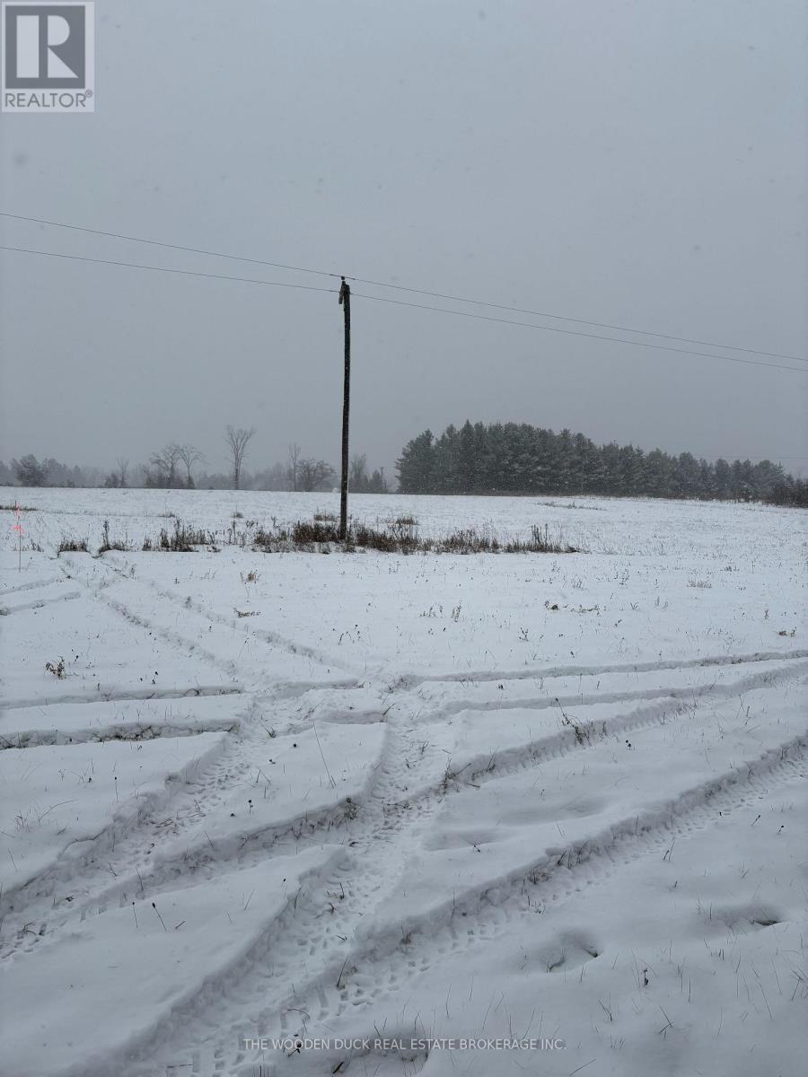 0 Douro Third Line, Douro-Dummer, Ontario  K0L 2H0 - Photo 10 - X12610946