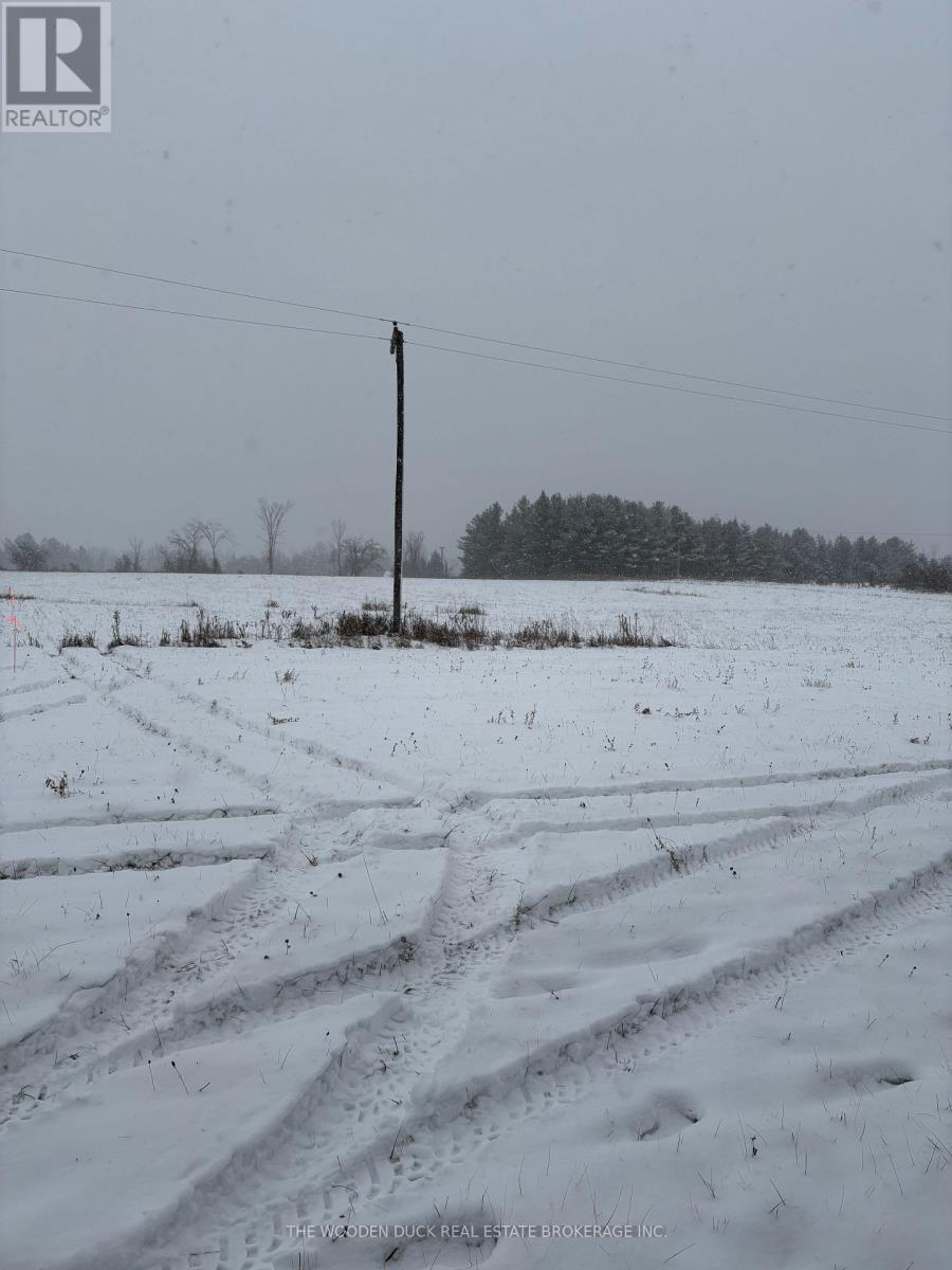 0 Douro Third Line, Douro-Dummer, Ontario  K0L 2H0 - Photo 11 - X12610946