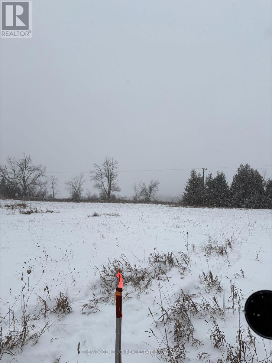 0 Douro Third Line, Douro-Dummer, Ontario  K0L 2H0 - Photo 6 - X12610946