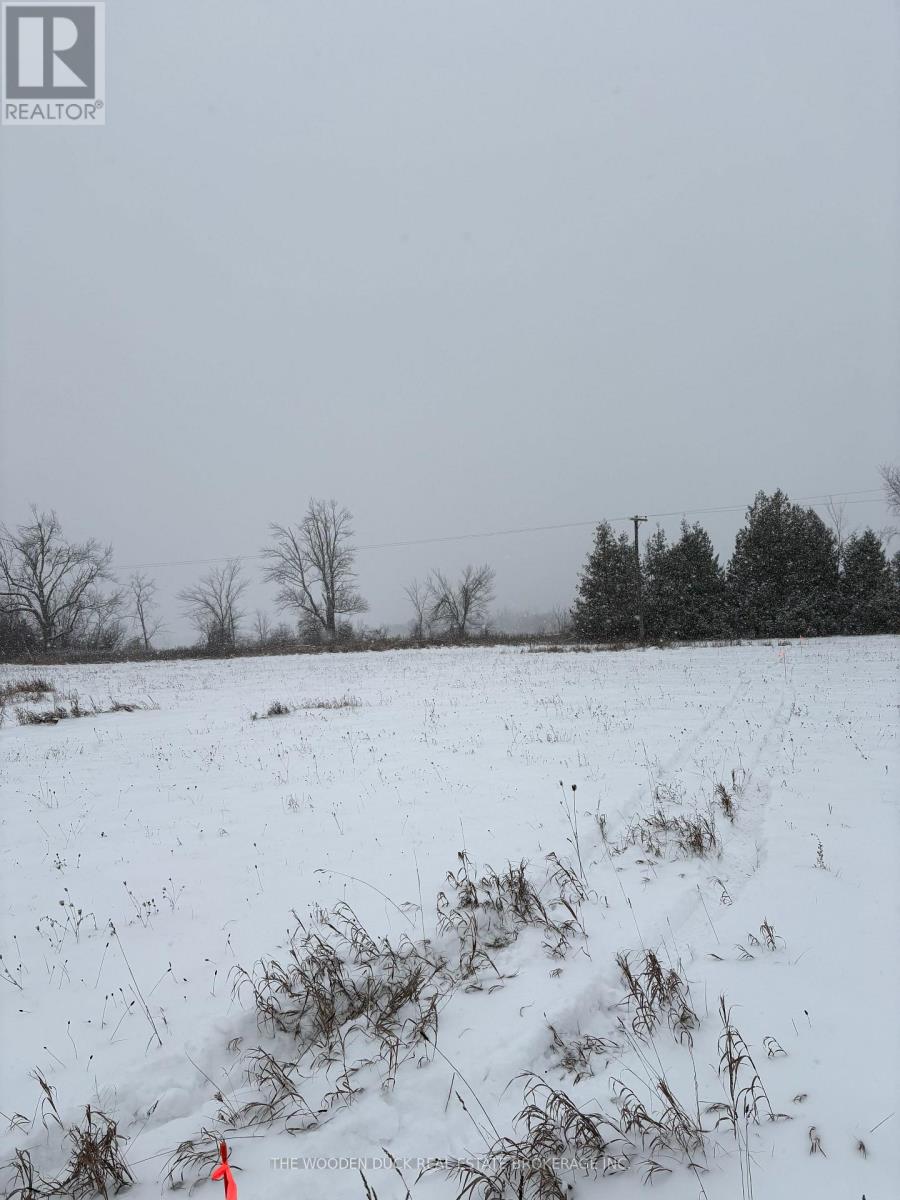 0 Douro Third Line, Douro-Dummer, Ontario  K0L 2H0 - Photo 8 - X12610946
