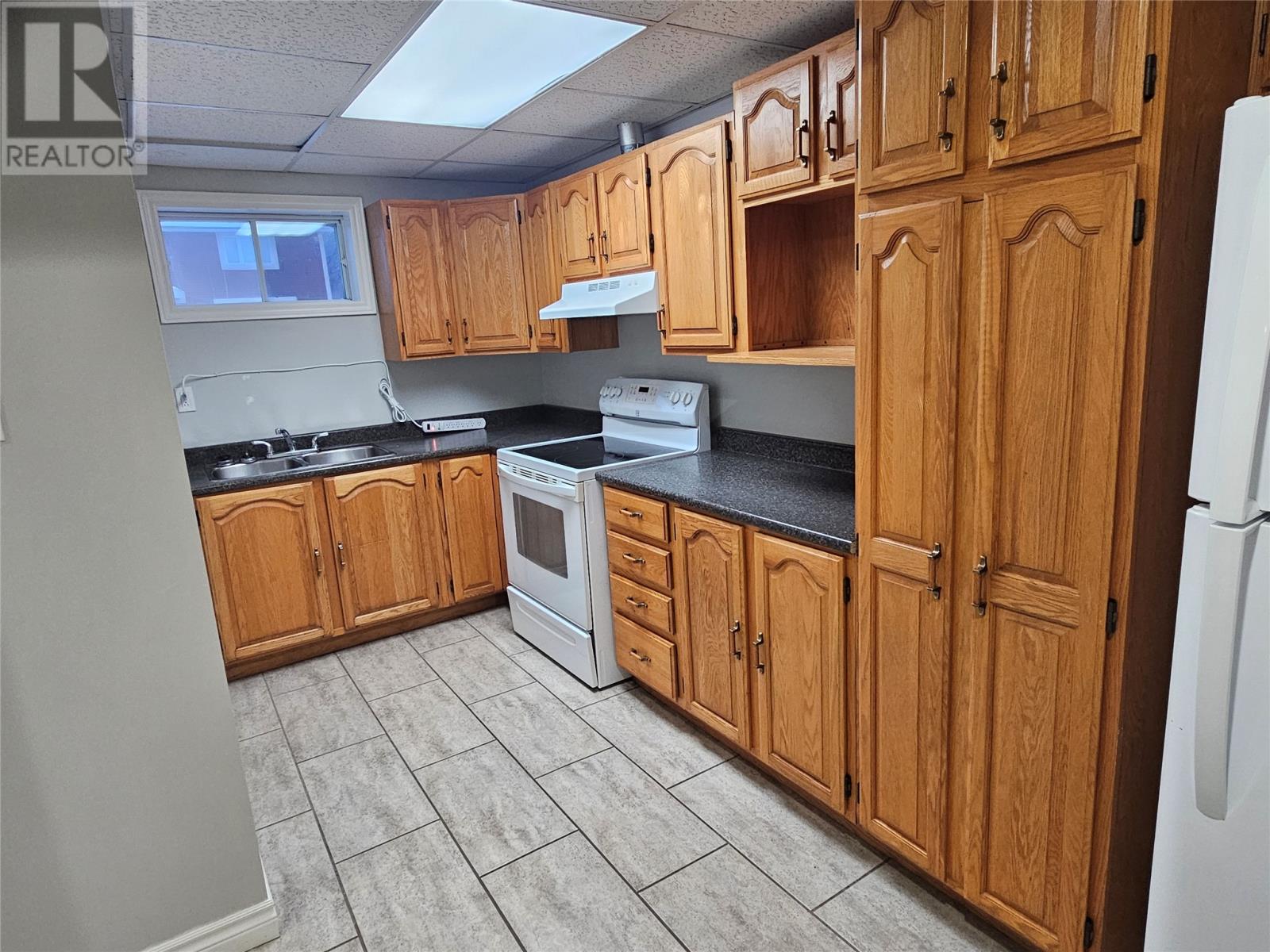 3 Larkhall Street, St. John's, Newfoundland & Labrador  A1B 2C2 - Photo 19 - 1293192