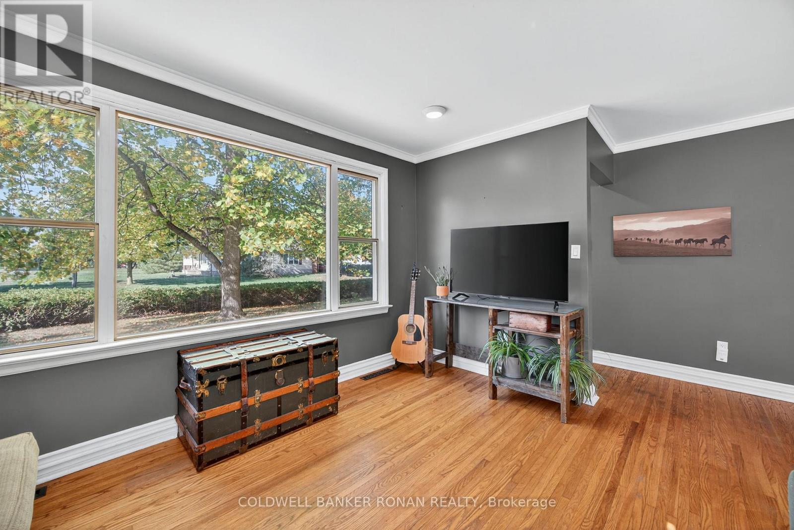 223 Louisa Street, Clearview, Ontario  L0M 1S0 - Photo 11 - S12452249