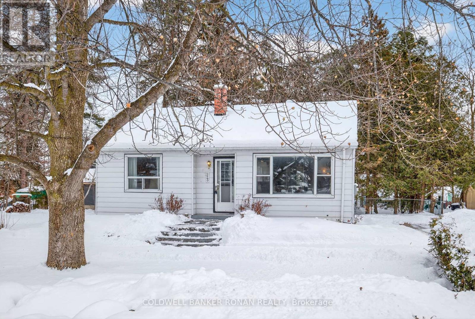 223 Louisa Street, Clearview, Ontario  L0M 1S0 - Photo 2 - S12452249