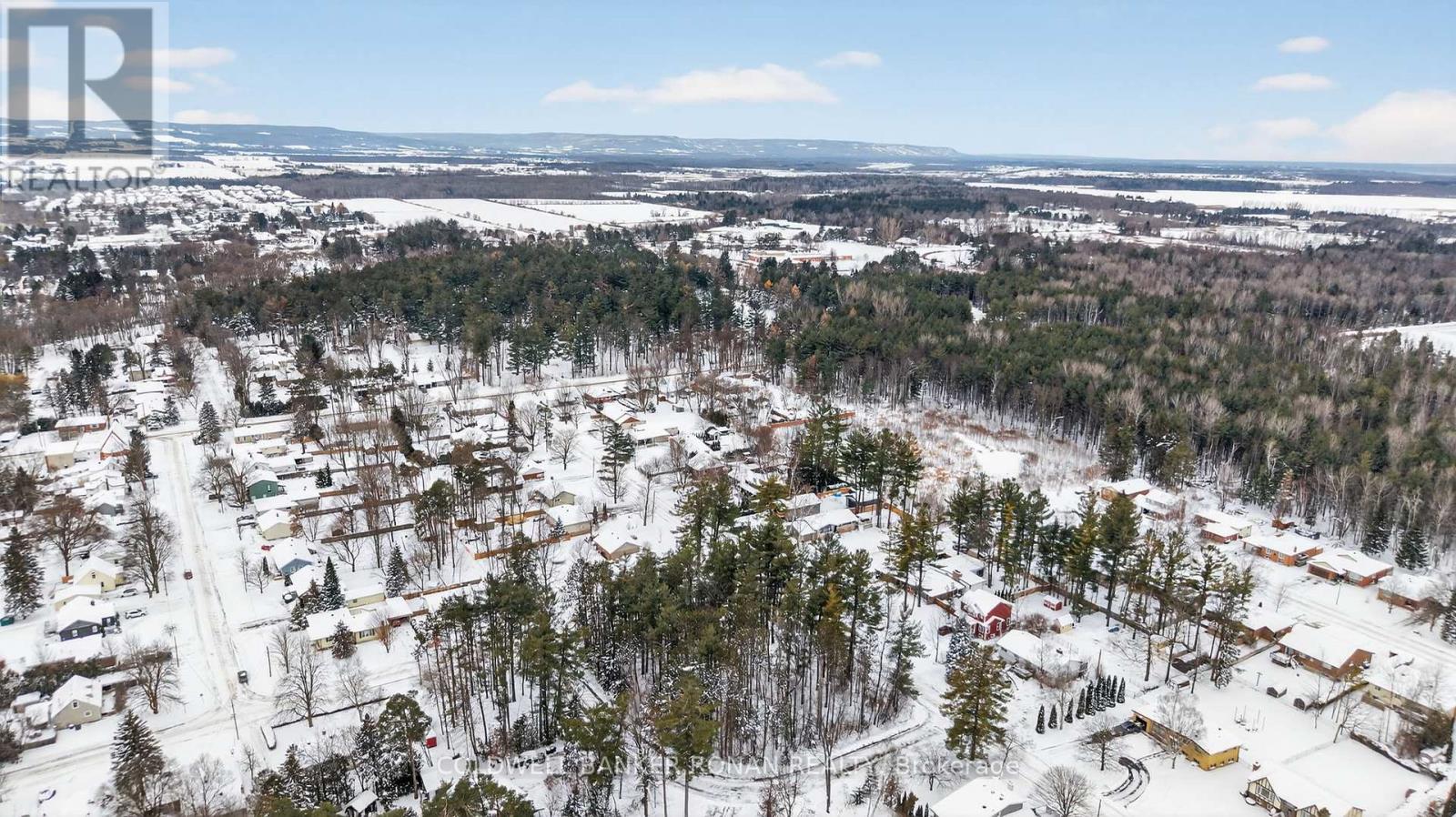 223 Louisa Street, Clearview, Ontario  L0M 1S0 - Photo 31 - S12452249