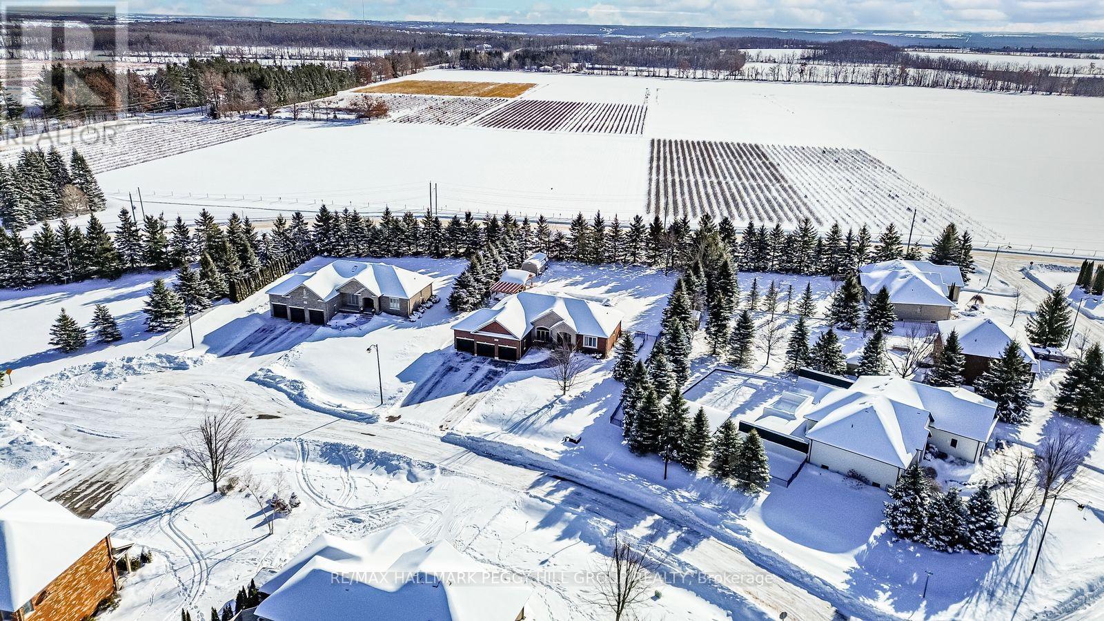 5 Munro Court, Springwater, Ontario  L9X 0H6 - Photo 29 - S12615116