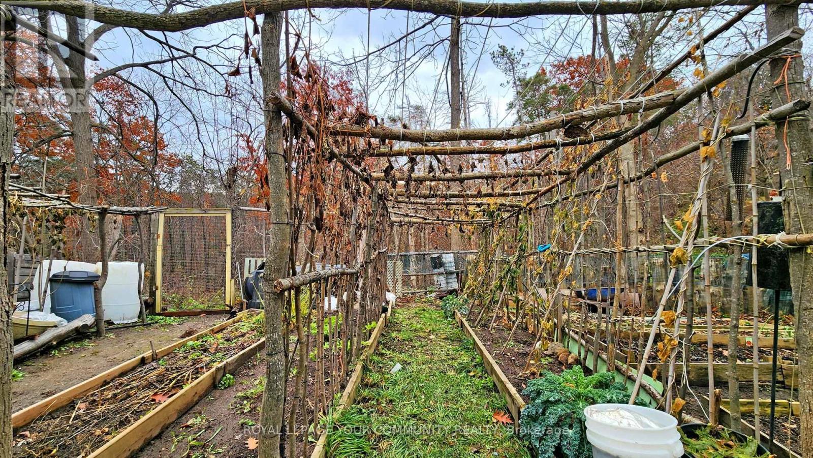 167 Little Avenue, Barrie (Allandale Heights), Ontario  L4N 6L7 - Photo 39 - S12615218