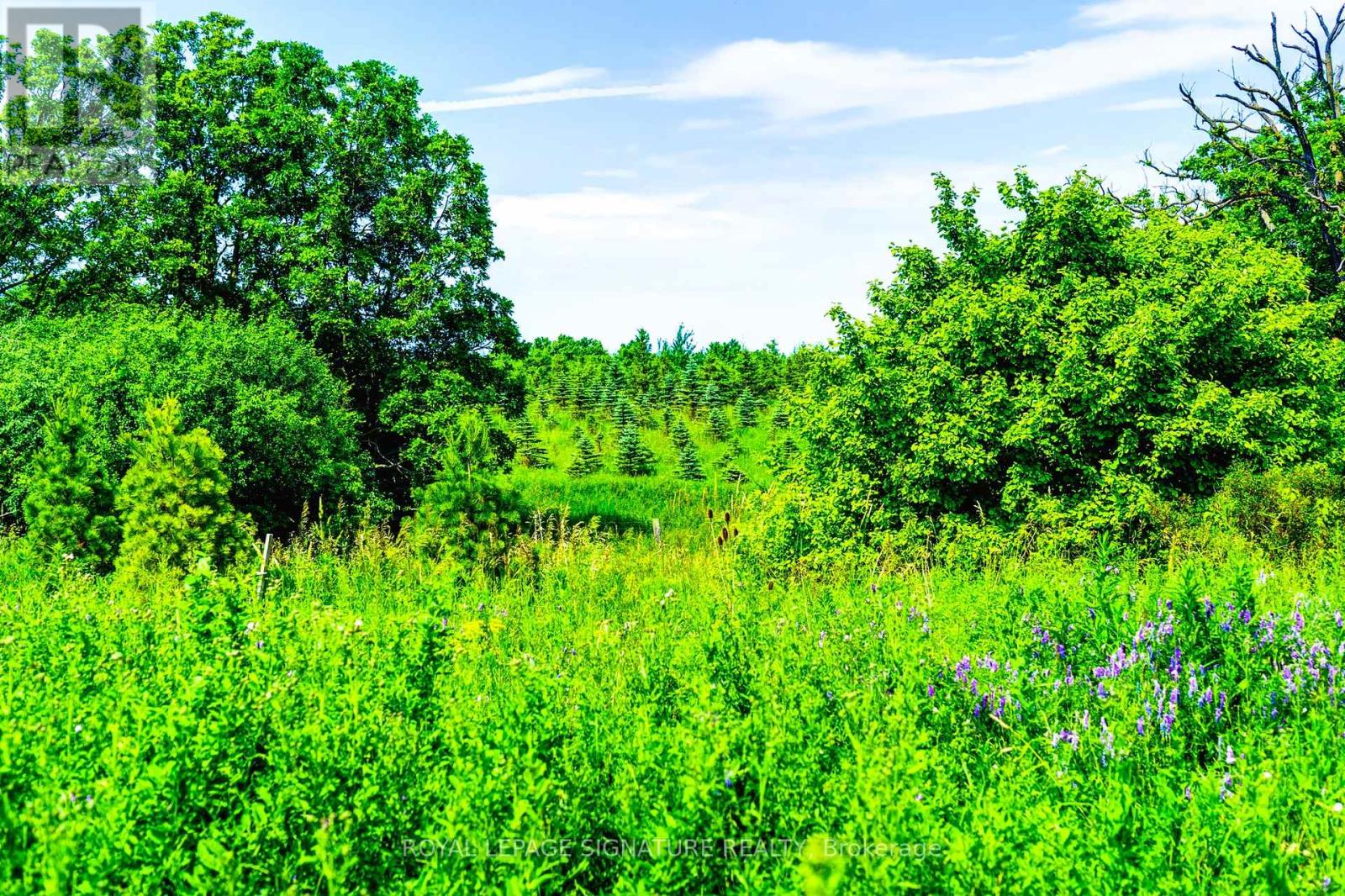 20 Lavinia Road, Brampton, Ontario  L6P 4N8 - Photo 39 - W12615088