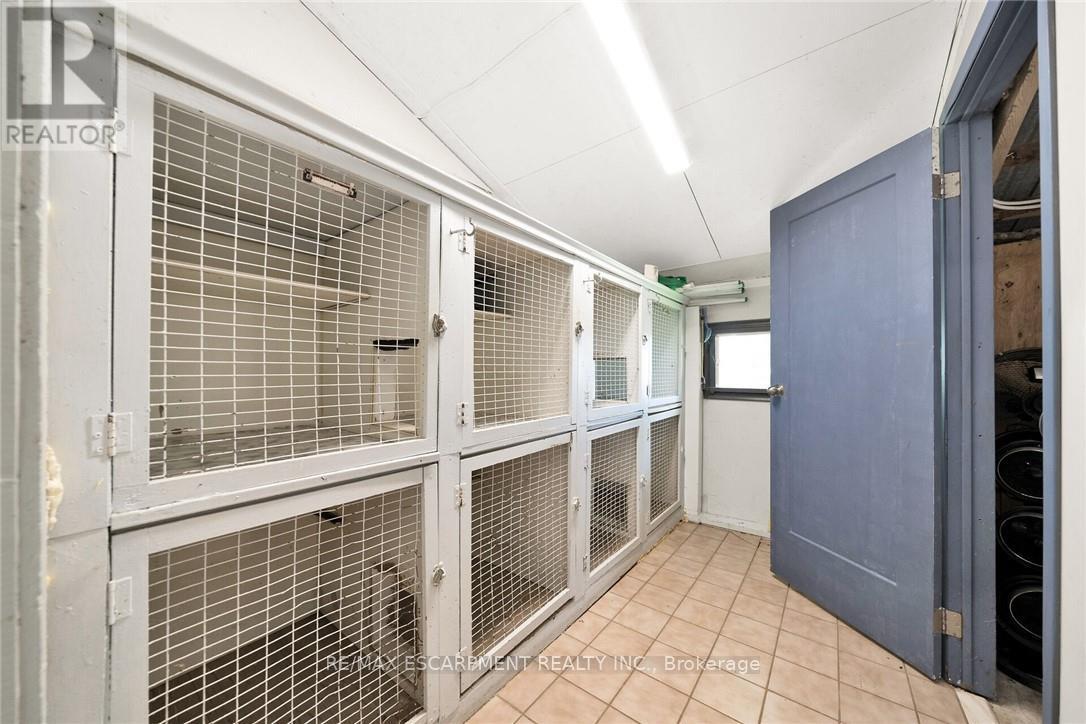 226 Carluke Road E, Hamilton, Ontario  L9G 3L1 - Photo 38 - X12614142