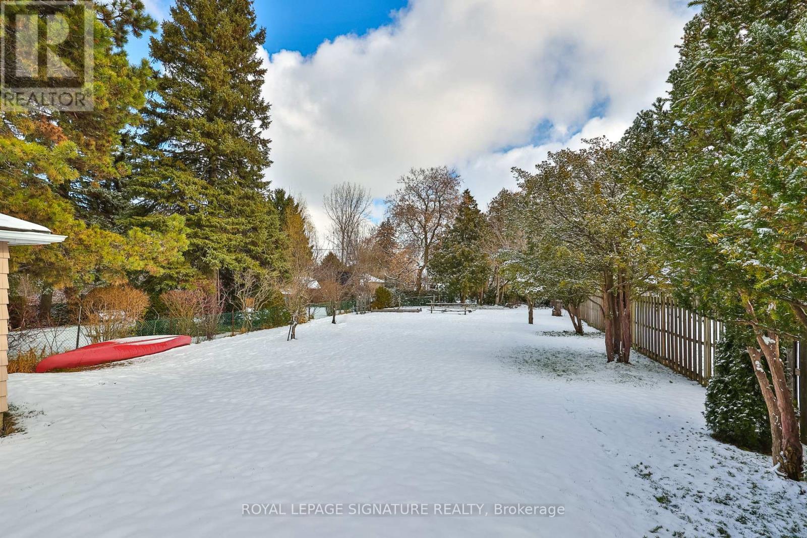 169 Norfolk Avenue, Richmond Hill, Ontario  L4C 2C7 - Photo 39 - N12602312