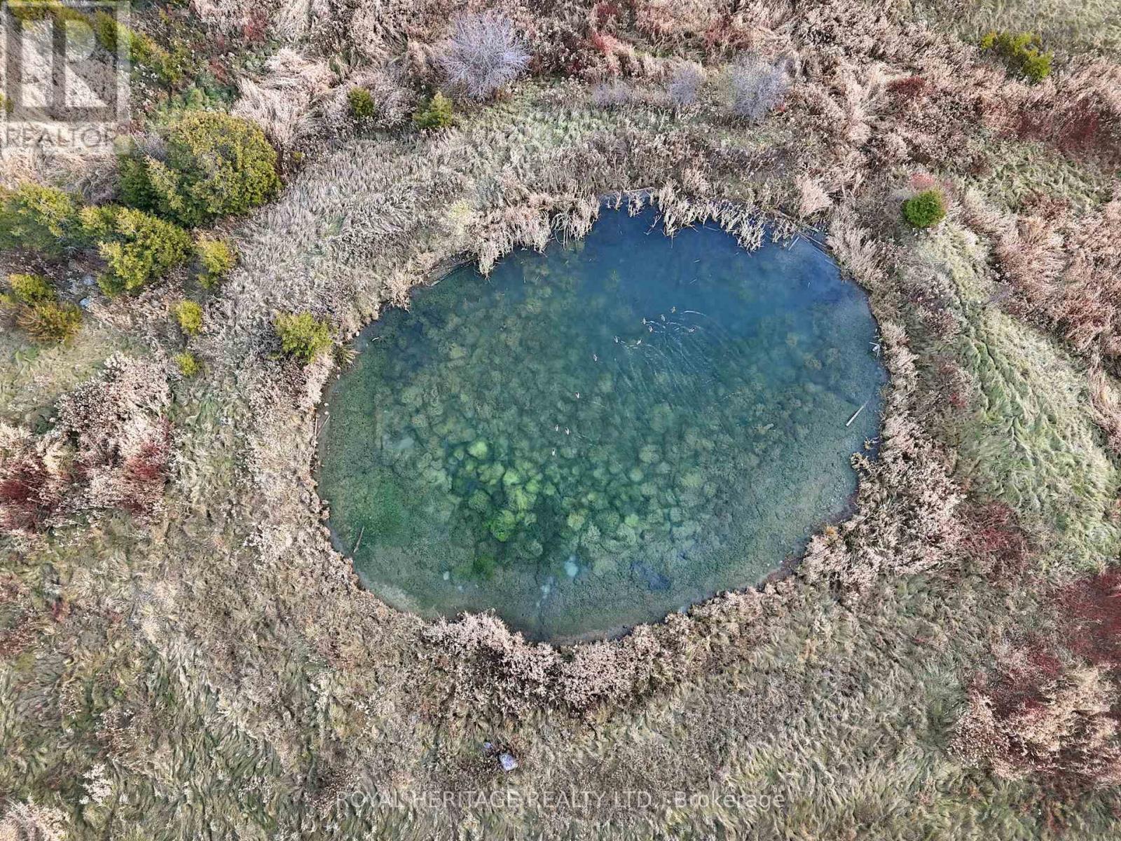 6601 Jamieson Road, Port Hope, Ontario  L0A 1B0 - Photo 9 - X12615482