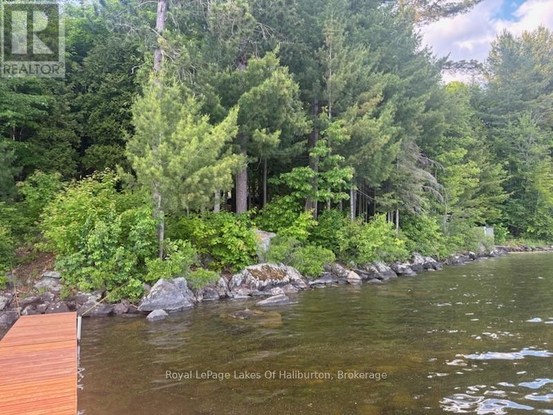 0 Hwy 35, Algonquin Highlands, Ontario K0M 1S0 - Photo 10 - X12116185