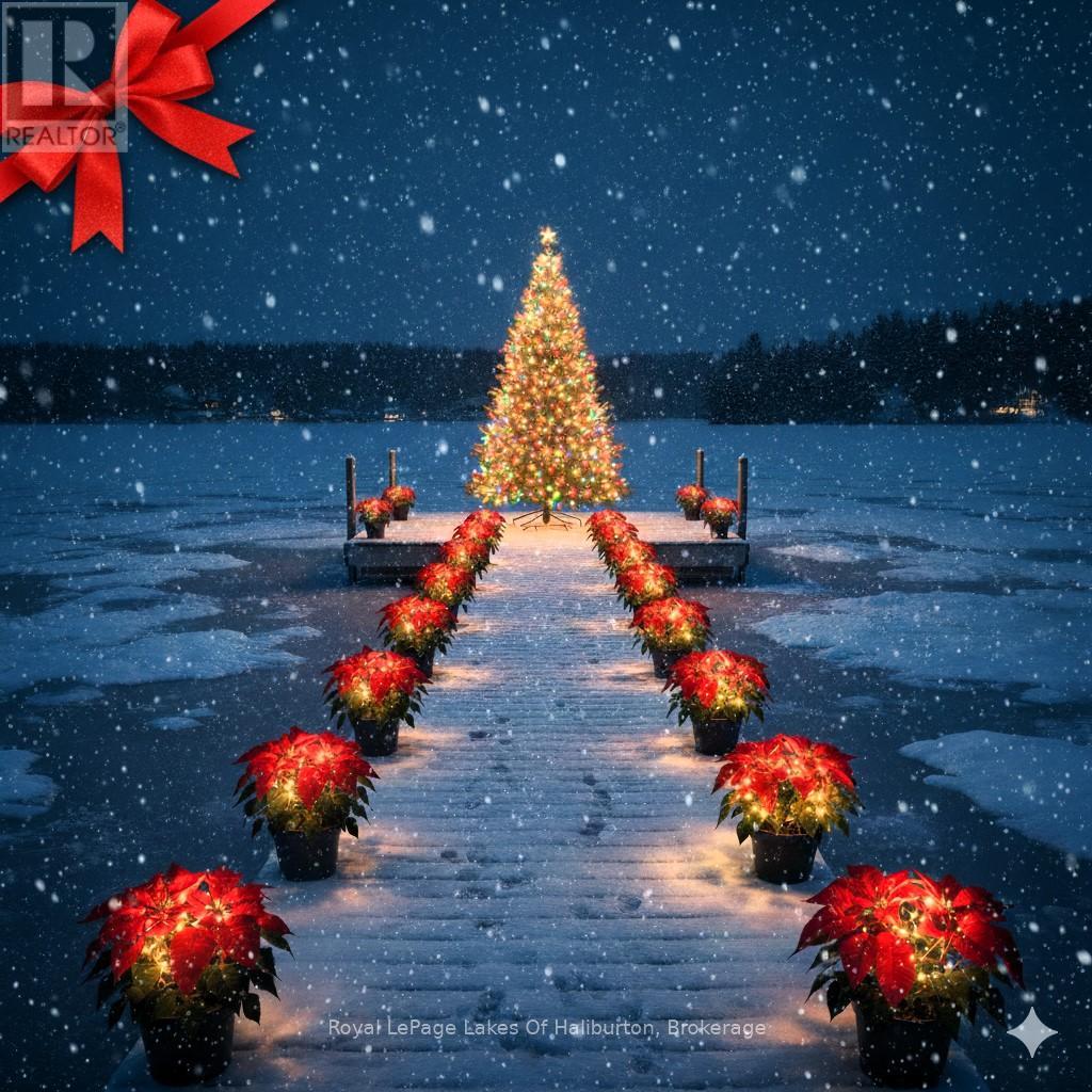 0 Hwy 35, Algonquin Highlands, Ontario K0M 1S0 - Photo 1 - X12116185