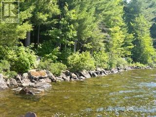 0 Hwy 35, Algonquin Highlands, Ontario K0M 1S0 - Photo 11 - X12116185