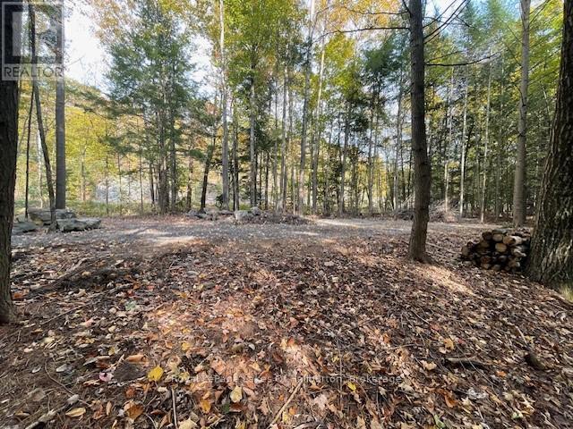 0 Hwy 35, Algonquin Highlands, Ontario K0M 1S0 - Photo 26 - X12116185