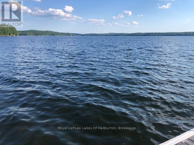 0 Hwy 35, Algonquin Highlands, Ontario K0M 1S0 - Photo 24 - X12116185