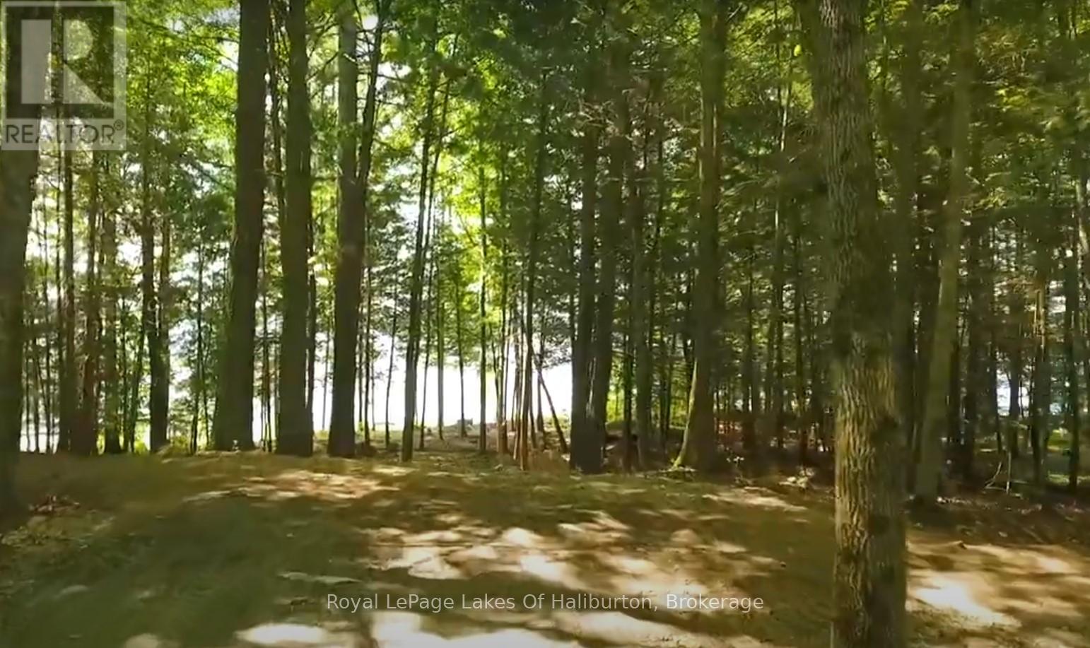 0 Hwy 35, Algonquin Highlands, Ontario K0M 1S0 - Photo 25 - X12116185