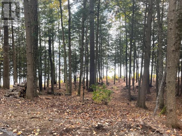 0 Hwy 35, Algonquin Highlands, Ontario K0M 1S0 - Photo 33 - X12116185