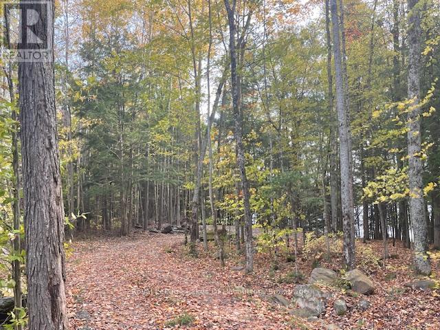 0 Hwy 35, Algonquin Highlands, Ontario K0M 1S0 - Photo 31 - X12116185