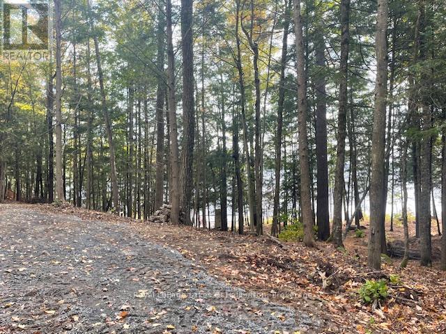 0 Hwy 35, Algonquin Highlands, Ontario K0M 1S0 - Photo 35 - X12116185