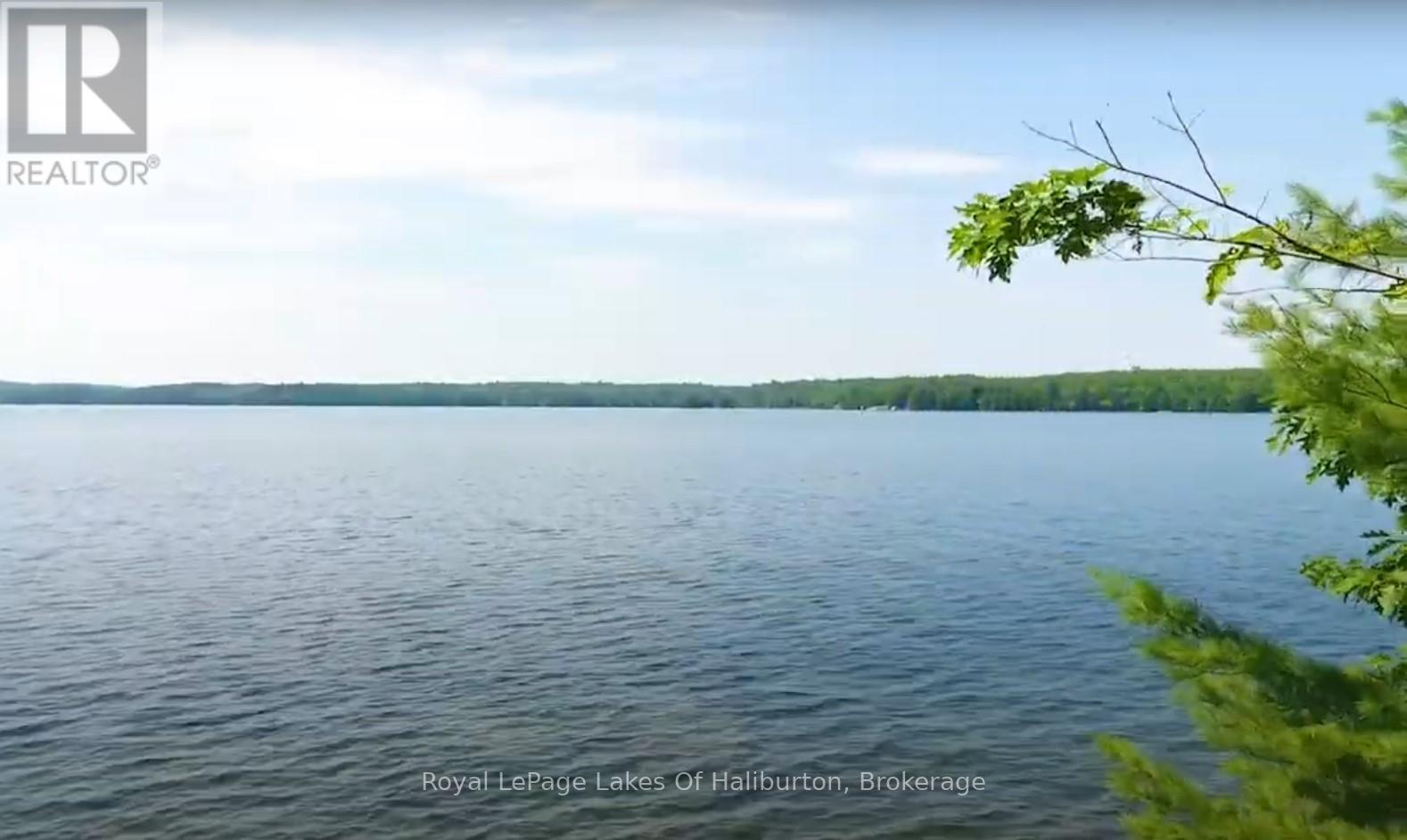 0 Hwy 35, Algonquin Highlands, Ontario K0M 1S0 - Photo 40 - X12116185