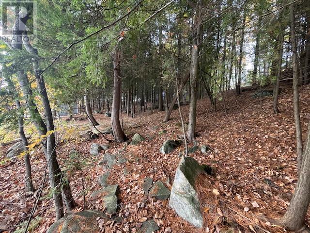 0 Hwy 35, Algonquin Highlands, Ontario K0M 1S0 - Photo 30 - X12116185