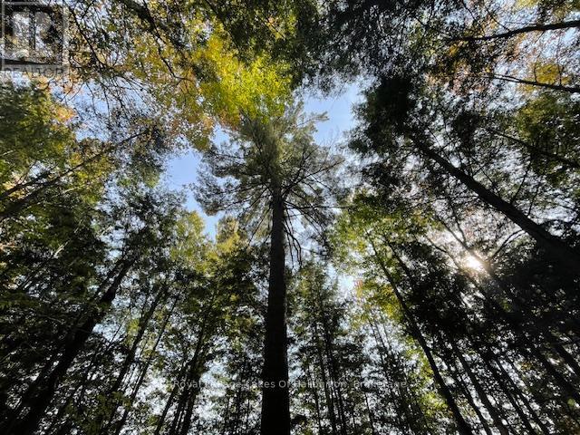 0 Hwy 35, Algonquin Highlands, Ontario K0M 1S0 - Photo 38 - X12116185