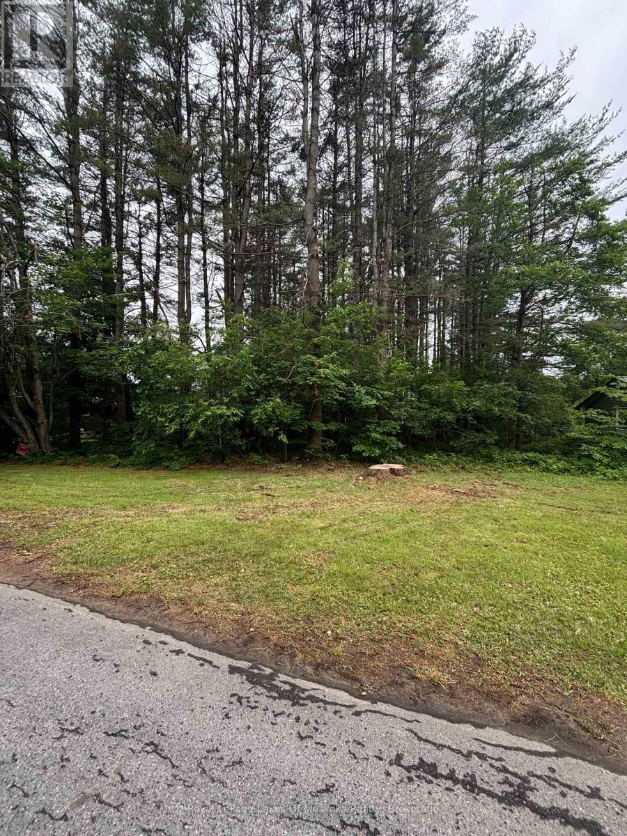 124 FREDERICK STREET, Bracebridge, Ontario