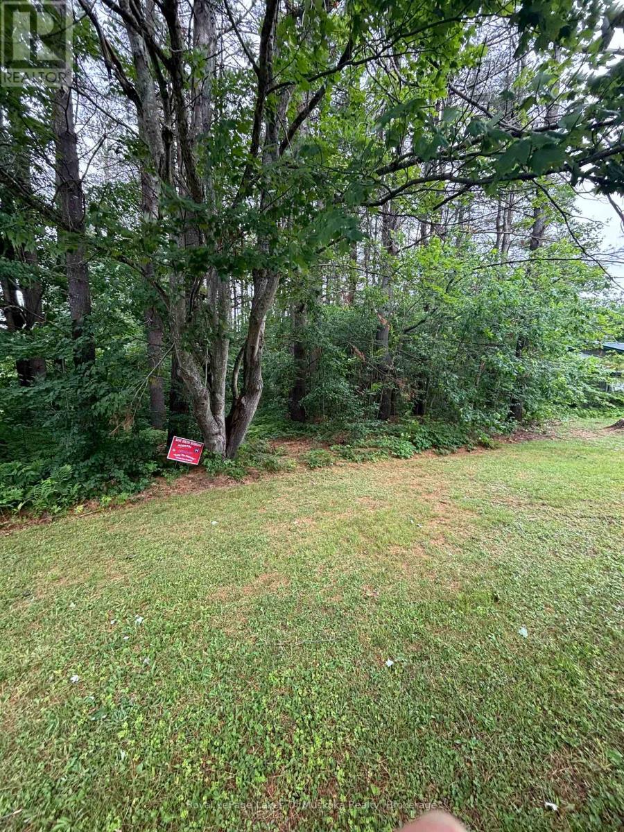 124 Frederick Street, Bracebridge, Ontario  P1L 1B5 - Photo 2 - X12615476