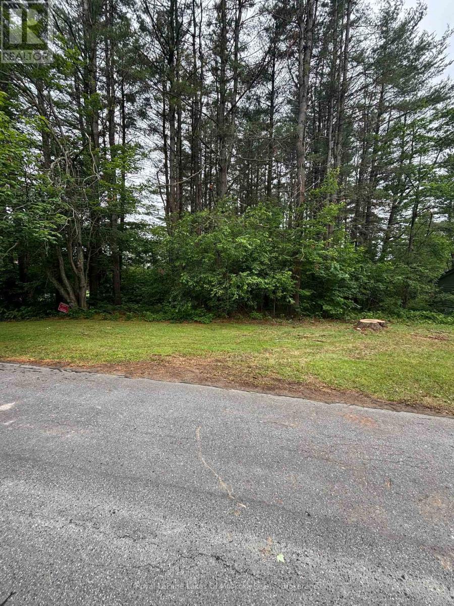 124 Frederick Street, Bracebridge, Ontario  P1L 1B5 - Photo 3 - X12615476