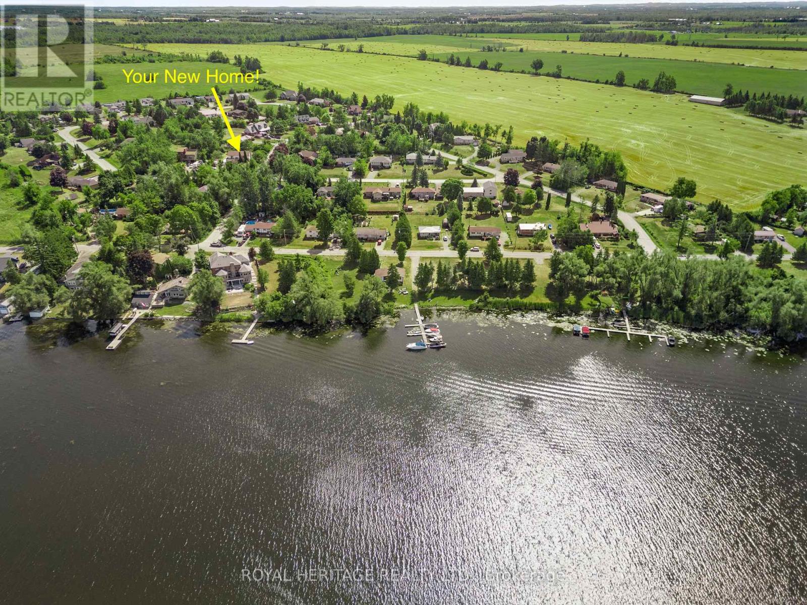 20 Buckhorn Road, Kawartha Lakes (Fenelon), Ontario  K9V 4R6 - Photo 7 - X12356913