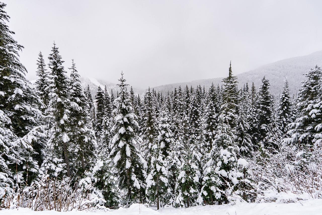 20806 Sakwi Creek Road, Mission, British Columbia  V0M 1A1 - Photo 31 - R3072999