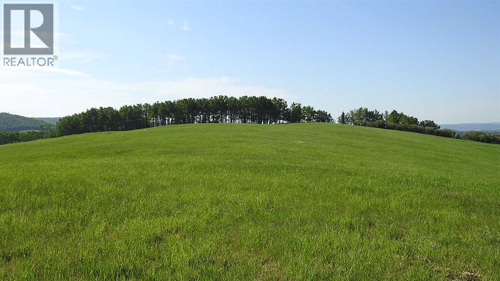 79.41 Acres Se-13-22-3w5, Rural Foothills County, Alberta T1S 2T7 - Photo 14 - A2057428