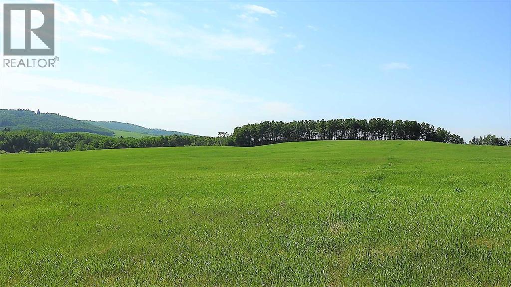 79.41 Acres Se-13-22-3w5, Rural Foothills County, Alberta T1S 2T7 - Photo 25 - A2057428