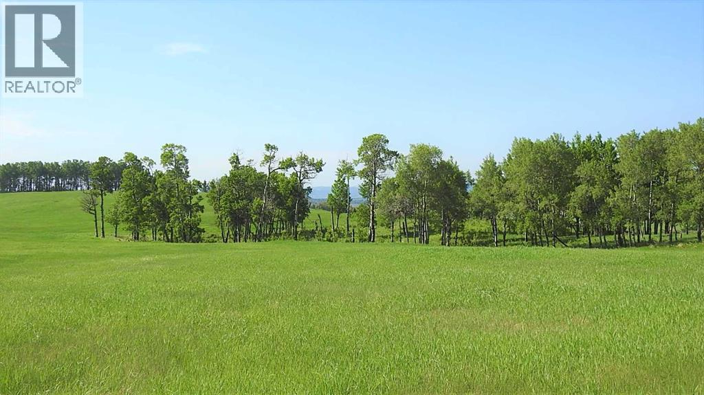 79.41 Acres Se-13-22-3w5, Rural Foothills County, Alberta T1S 2T7 - Photo 26 - A2057428