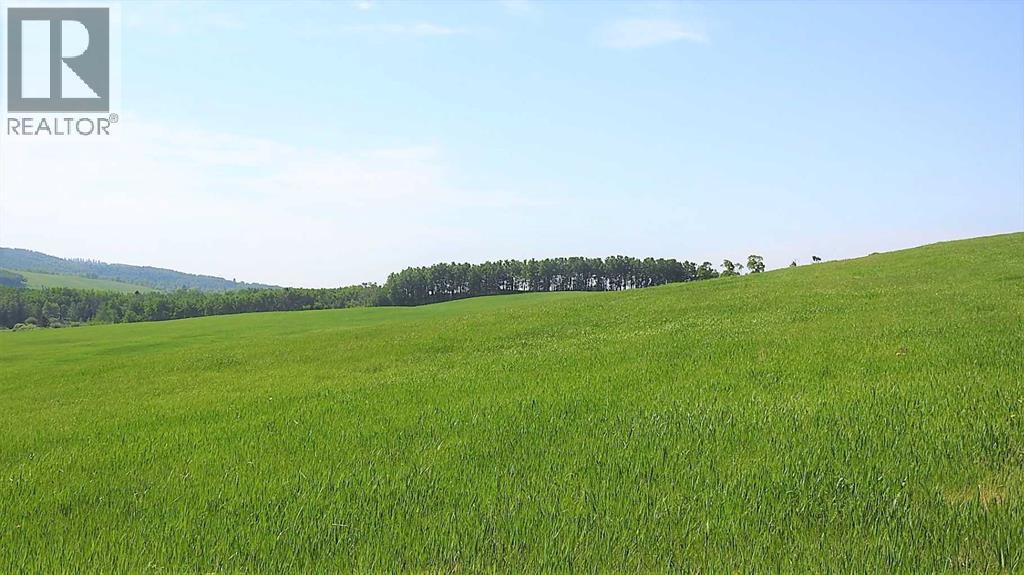 79.41 Acres Se-13-22-3w5, Rural Foothills County, Alberta T1S 2T7 - Photo 32 - A2057428