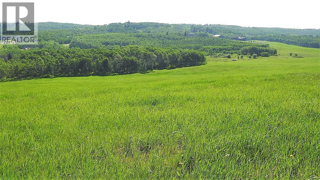 79.41 Acres Se-13-22-3w5, Rural Foothills County, Alberta T1S 2T7 - Photo 30 - A2057428