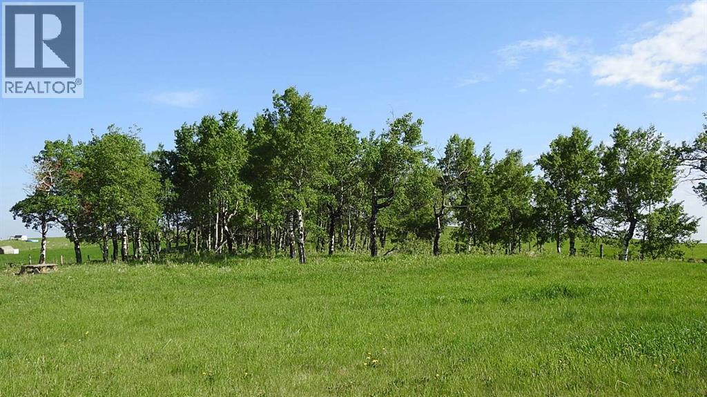 79.41 Acres Se-13-22-3w5, Rural Foothills County, Alberta T1S 2T7 - Photo 16 - A2057428