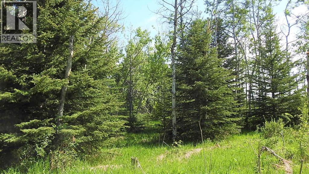 79.41 Acres Se-13-22-3w5, Rural Foothills County, Alberta T1S 2T7 - Photo 35 - A2057428