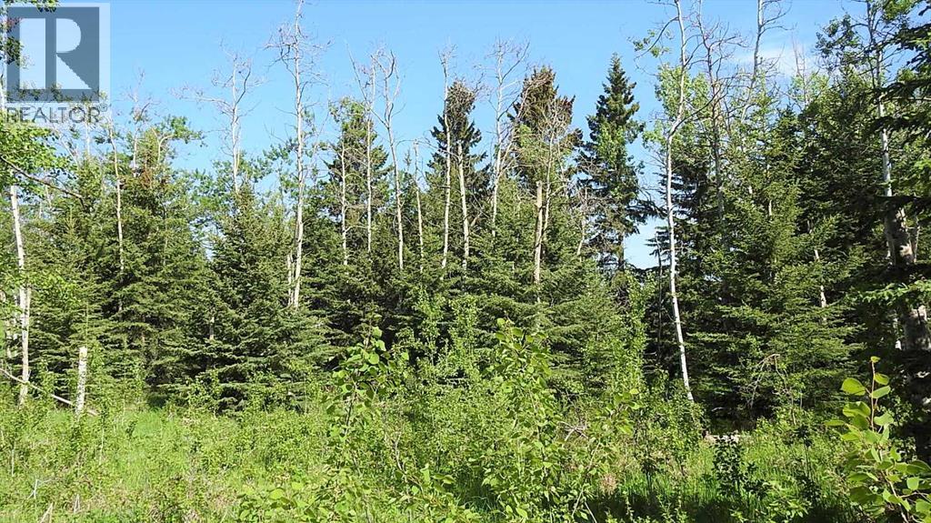 79.41 Acres Se-13-22-3w5, Rural Foothills County, Alberta T1S 2T7 - Photo 36 - A2057428