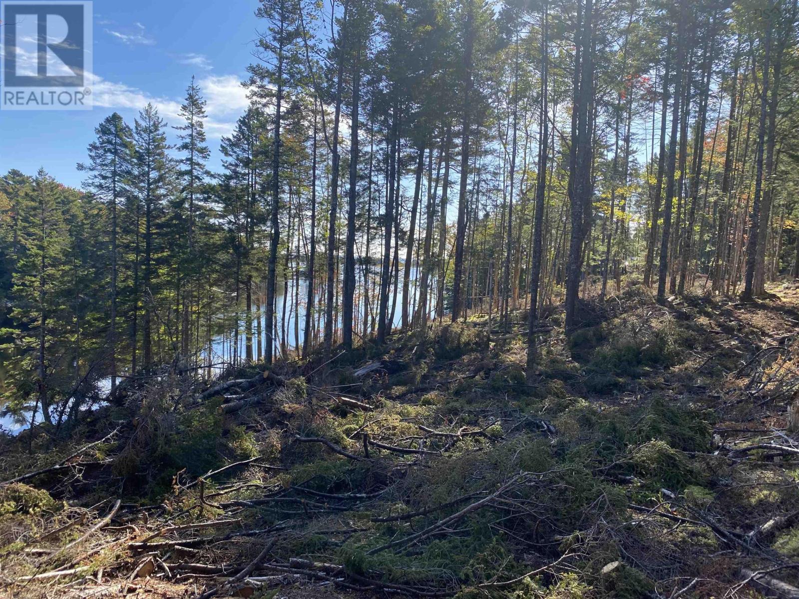 Lot 2 Highway 103, Port Mouton, Nova Scotia B0T 1T0 - Photo 7 - 202528519