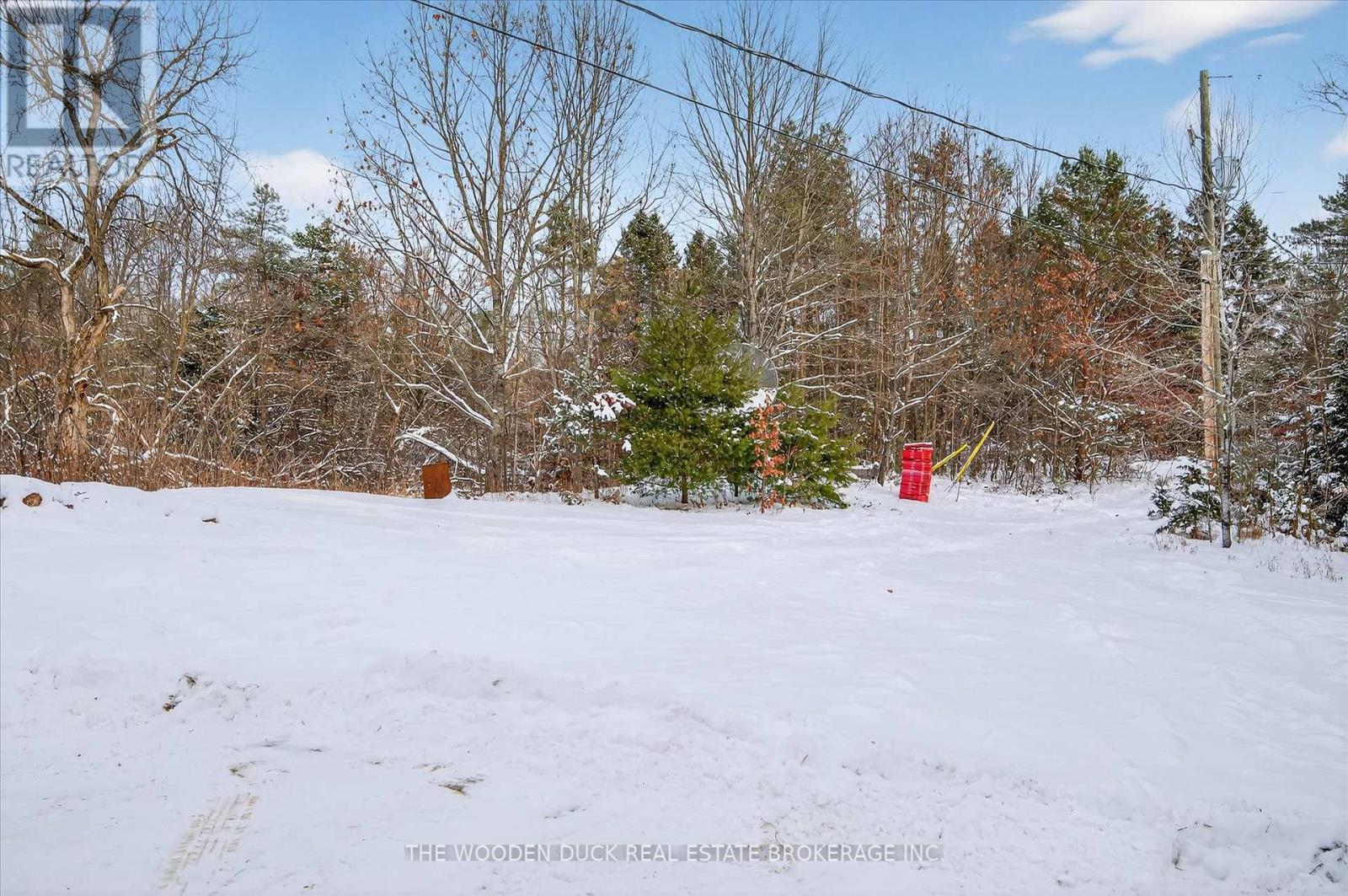 6600 Hwy 7 Highway, Havelock-Belmont-Methuen (Belmont-Methuen), Ontario  K0L 1Z0 - Photo 35 - X12615922