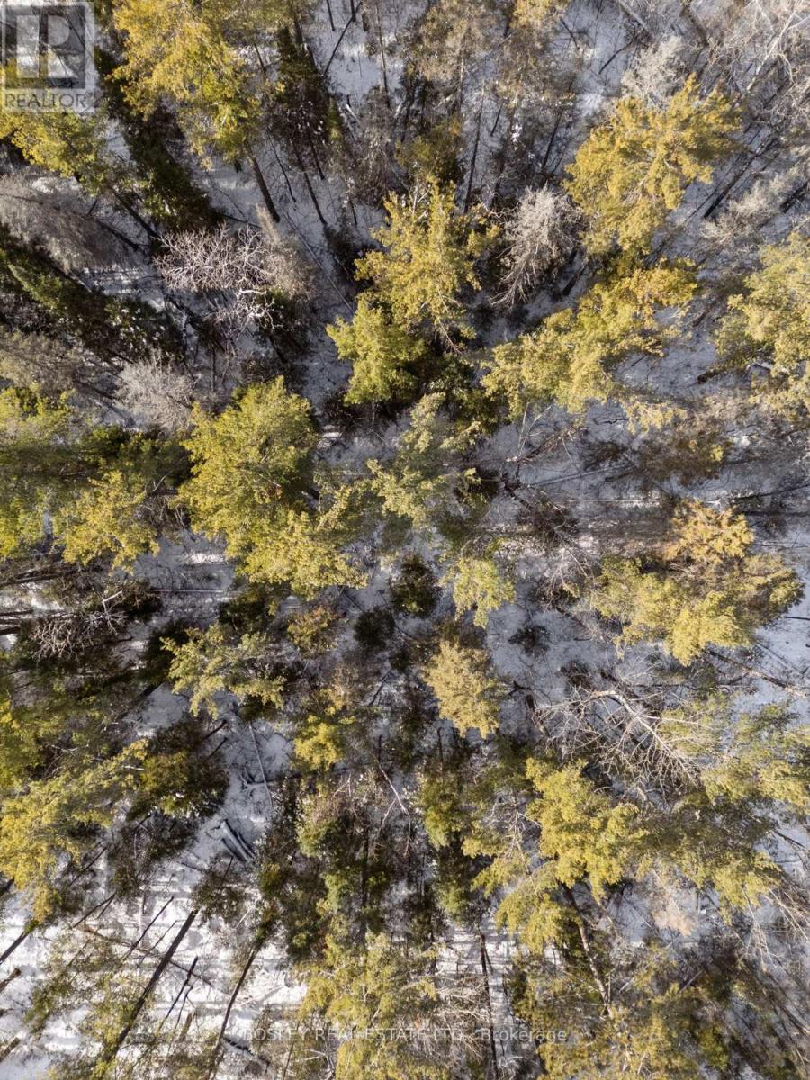 34 Pineview Court, Marmora And Lake, Ontario K0K 2M0 - Photo 6 - X12615976