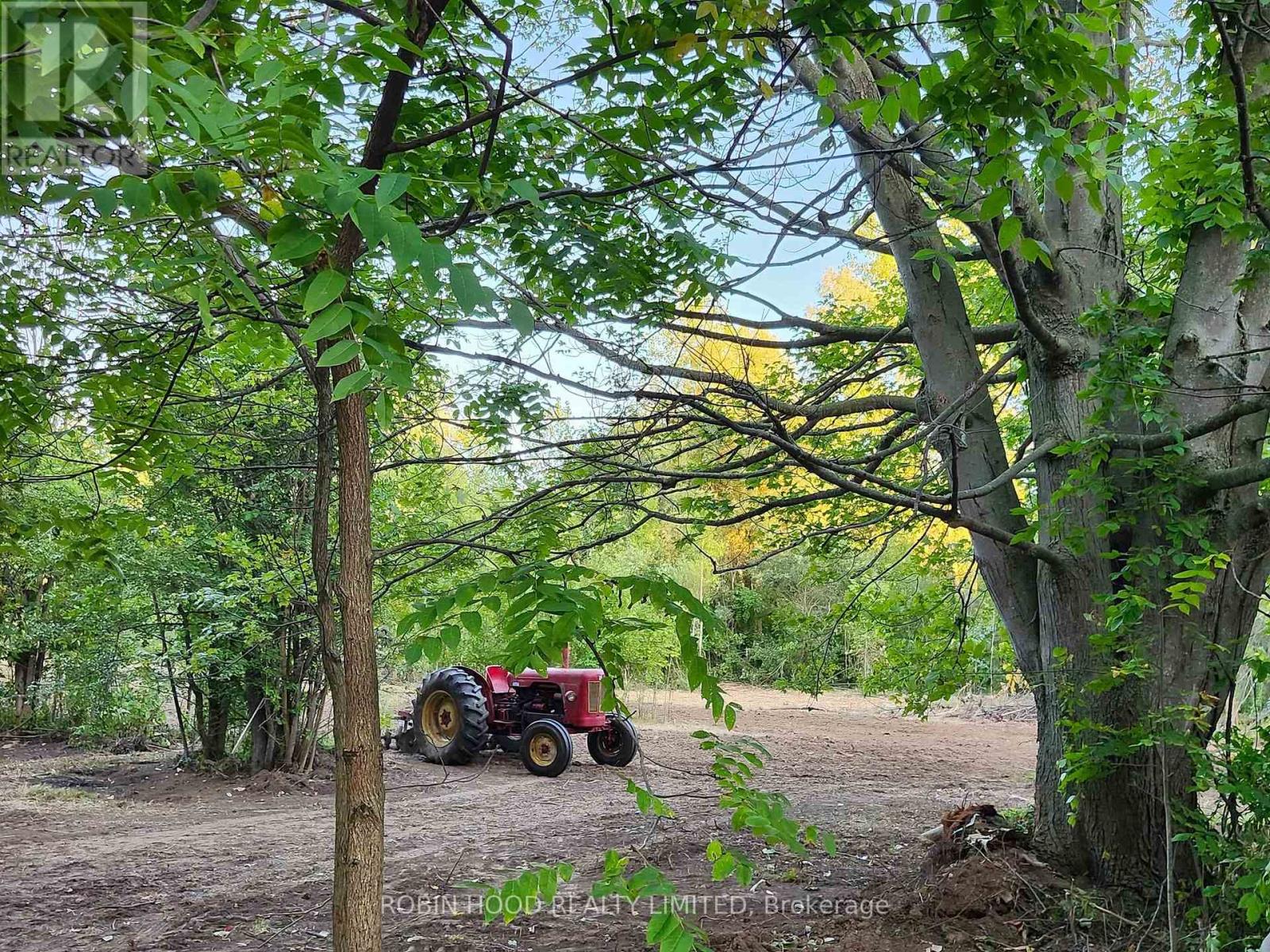54255 Shafley Road S, Wainfleet, Ontario  L0R 2J0 - Photo 12 - X12615820