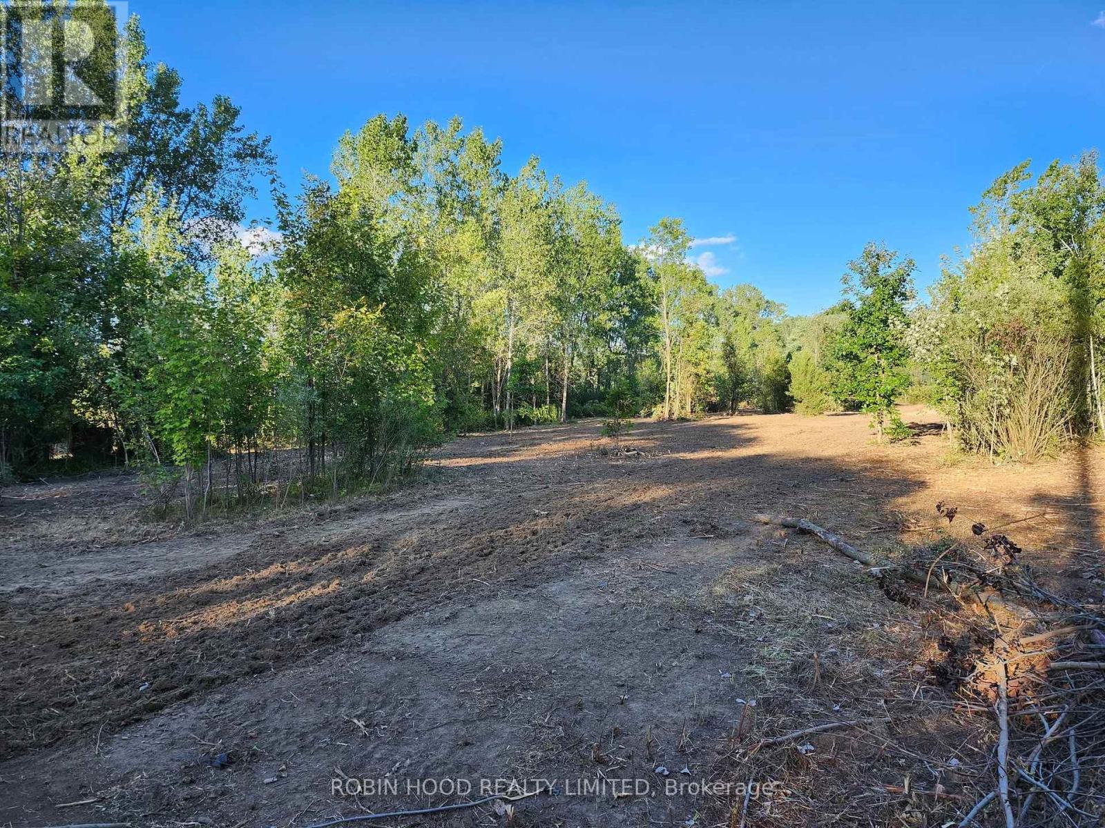 54255 Shafley Road S, Wainfleet, Ontario  L0R 2J0 - Photo 2 - X12615820