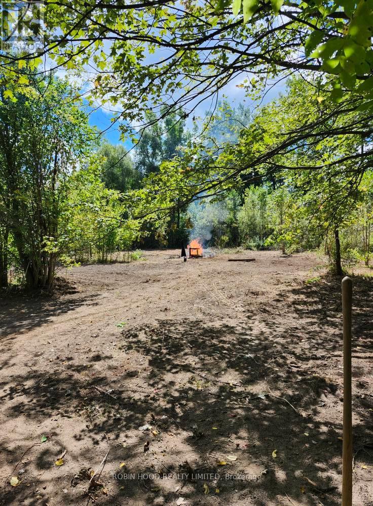 54255 Shafley Road S, Wainfleet, Ontario  L0R 2J0 - Photo 3 - X12615820