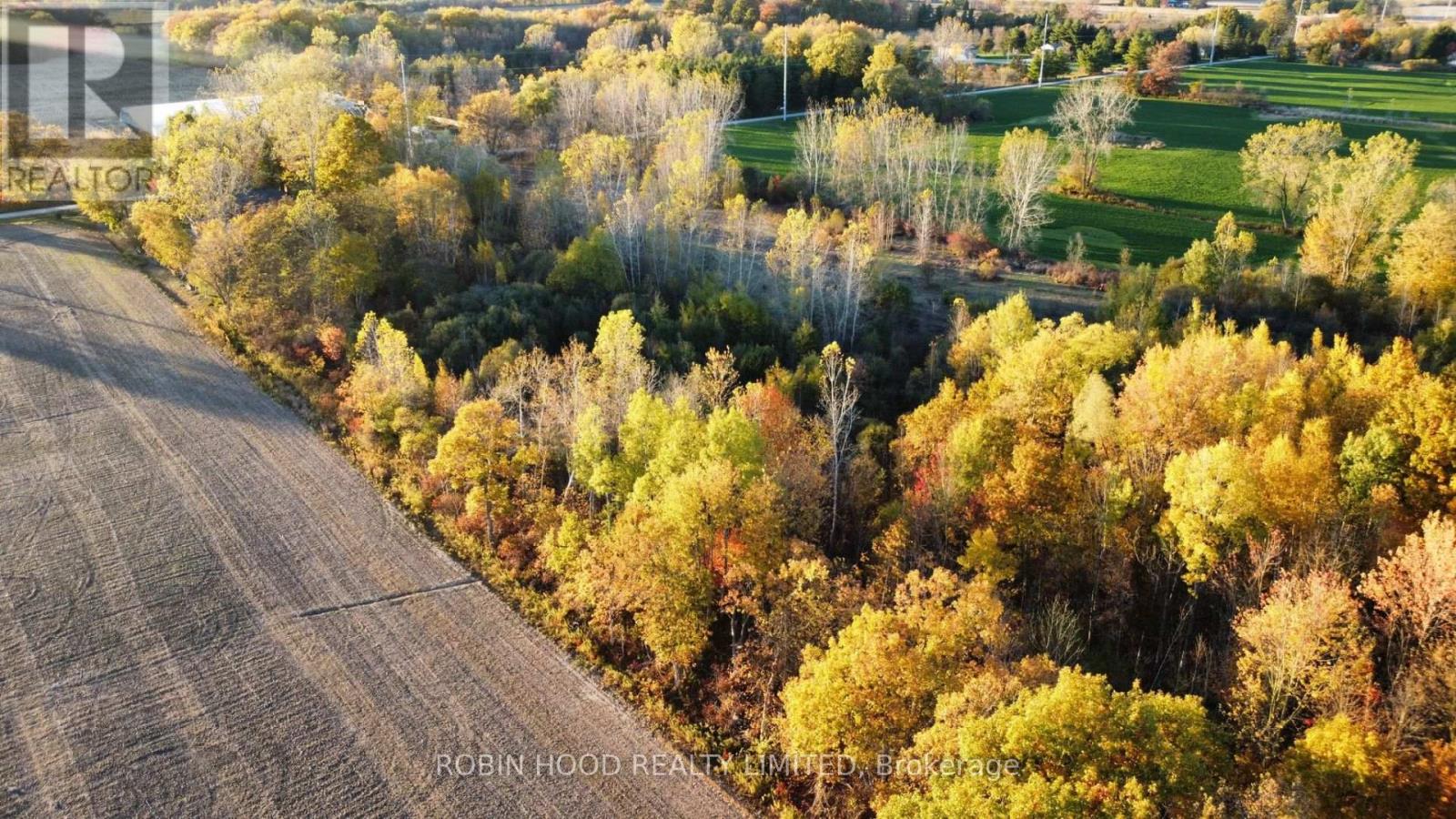 54255 Shafley Road S, Wainfleet, Ontario  L0R 2J0 - Photo 8 - X12615820